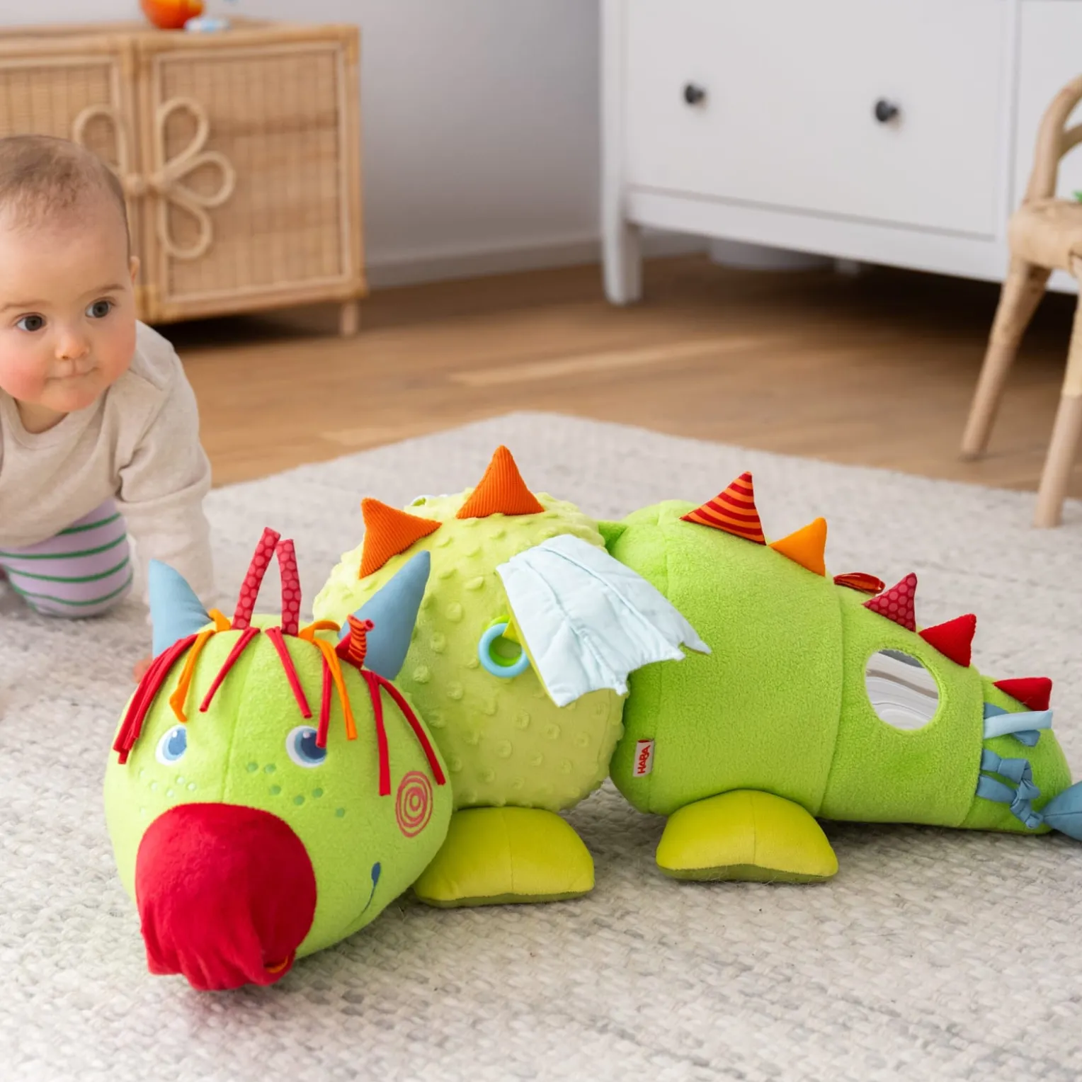 Entdeckertier Drache Rudy