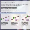 Geheimcode 13+4 Mathespiel, Addition, ab 8 Jahre