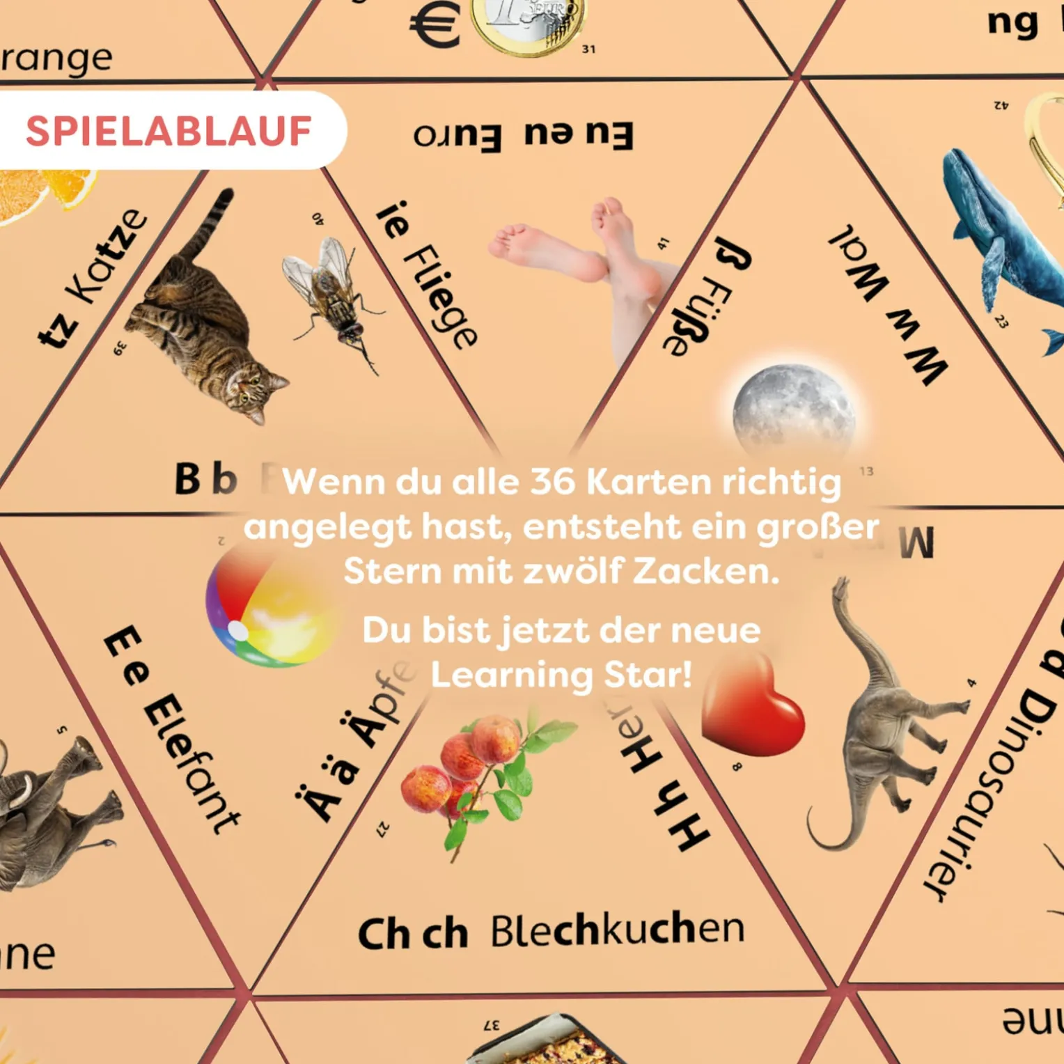 Learning Star – Wort / Bild