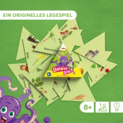 Spielset Vorschule, 3-teilig, ab 6 Jahren