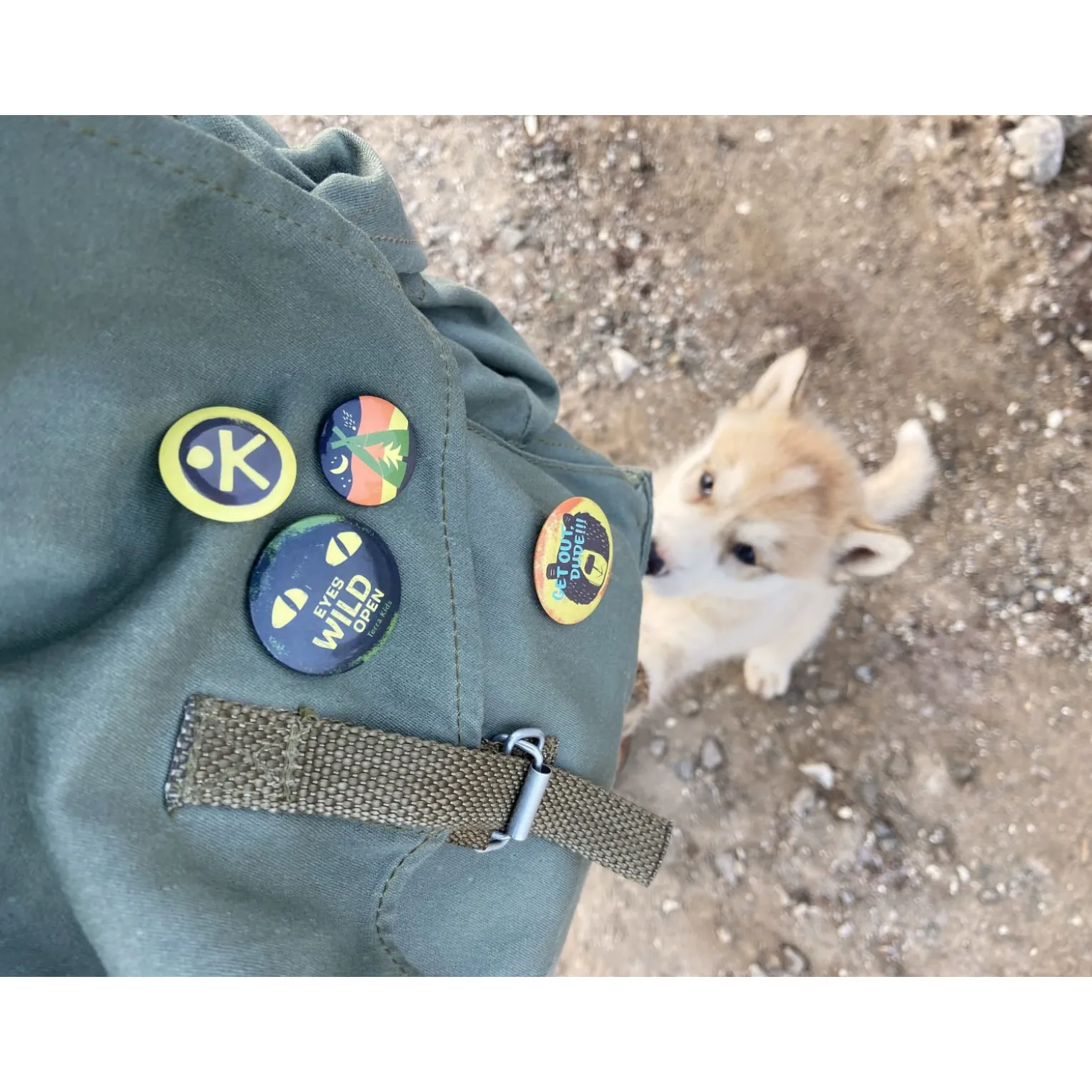 Terra Kids Ansteckbuttons für Kinder mit Abenteuermotiven, 4-er Set