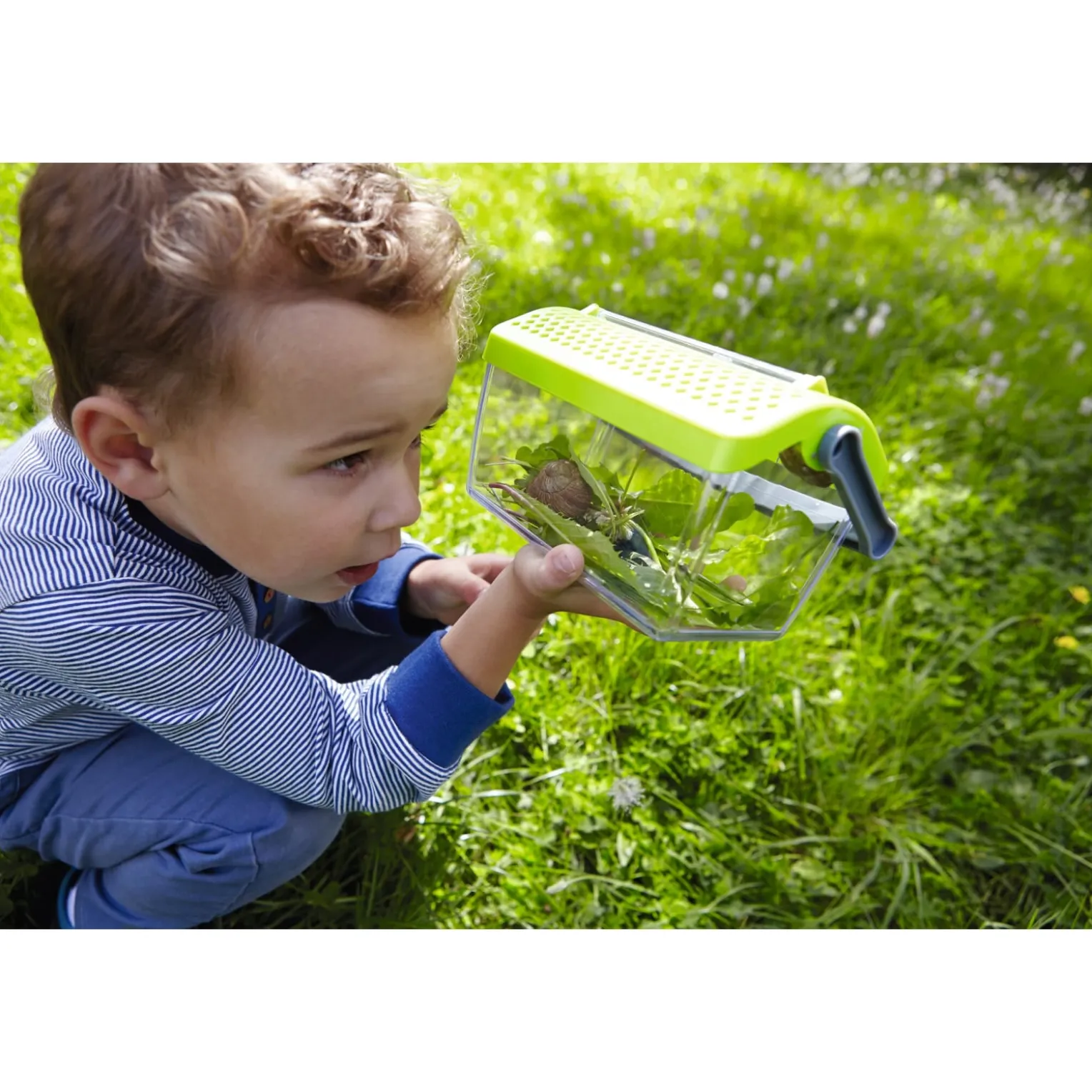 Terra Kids Insekten-Sammelbox
