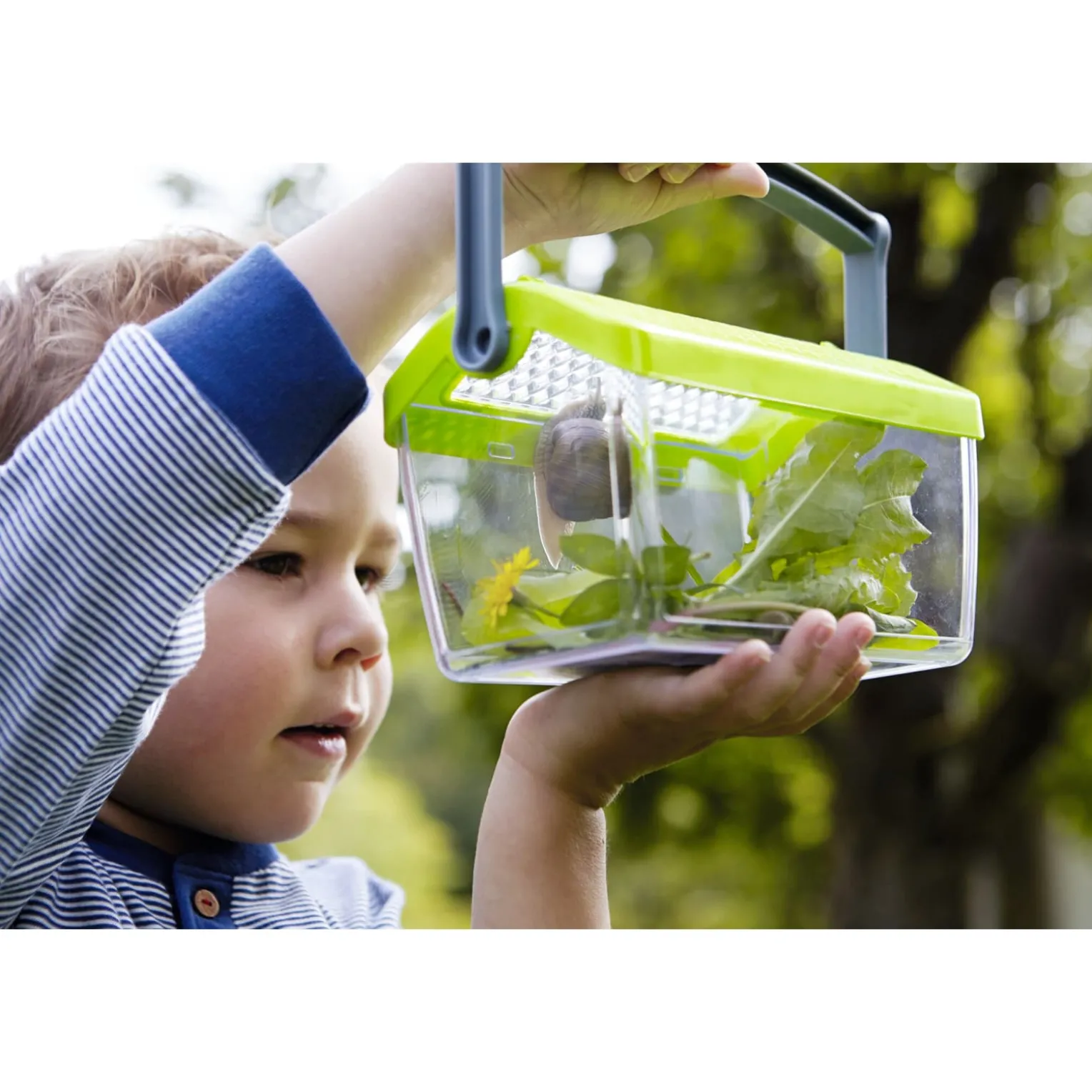 Terra Kids Insekten-Sammelbox