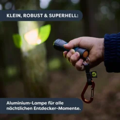 Terra Kids LED-Abenteuer-Taschenlampe mit Karabiner & Reflektor-Stickern