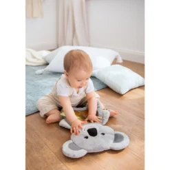 Wasser-Spielmatte Koala